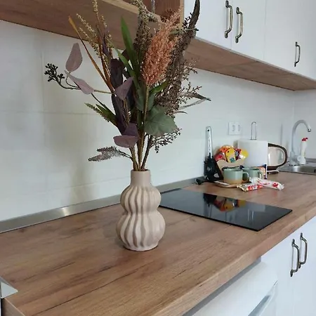 Jereza Apartman *